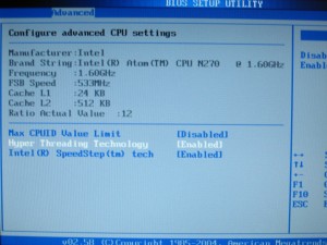 Atom 處理器支援 Hyper Threading.