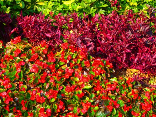 採用濃化色調效果後。