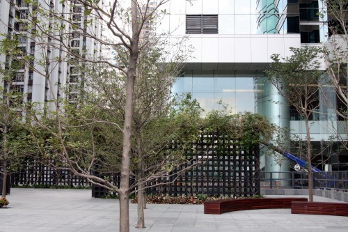 於大廈外紅色長木椅位置進行測試。