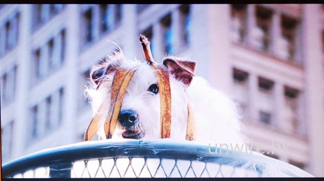 dsc_0030_resize dsc_0030_resize