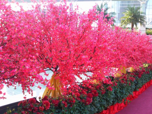 Samsung Pixon M8800H