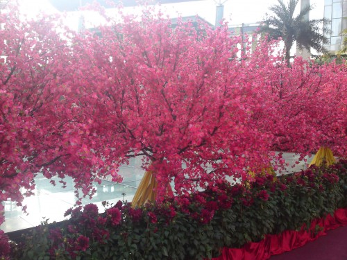 Sony-Ericsson Cyber-Shot C905